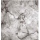 Дорожка 0,6м Витебск p2484/b2/100 (длина 33м)