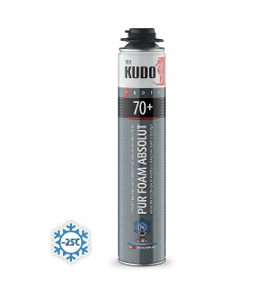 Пена проф  KUDO NORD 70+л  1000мл зимняя -25С ARKTIKA/12