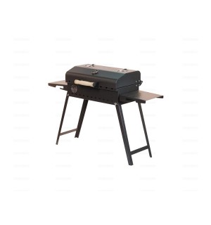 Гриль Алтай 9