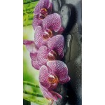 Мозаика  Орхидея Ванда 3D 602*1002 пластик