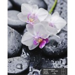 ФОТОобои 140*200 Симфония Белая орхидея 4л