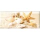 Кафель Легенда декор SeaShells 200*450 крупные