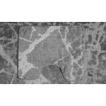 Коврик для ванной 2шт 50*80 см серый COLOR 2014